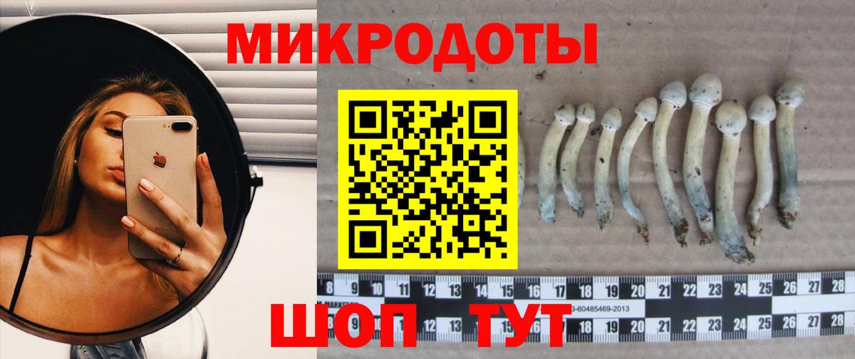 Галлюциногенные грибы Cubensis Усть-Илимск