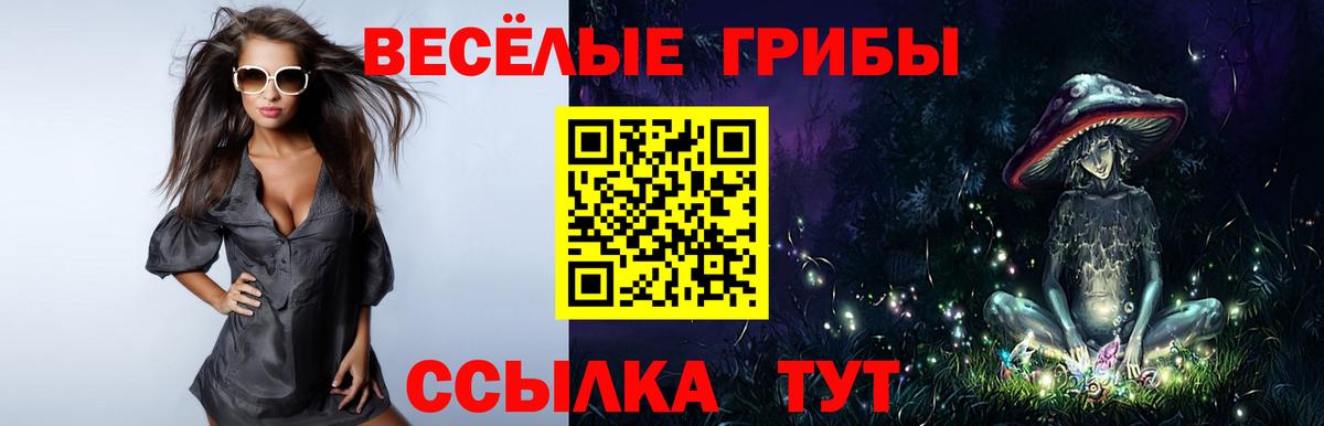 Усть-Илимск  Псилоцибиновые грибы ЛСД  Псилоцибиновые грибы Cubensis  Вход с VPN 